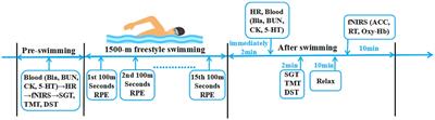 A single 1,500 m freestyle at maximal speed decreases cognitive function in athletes